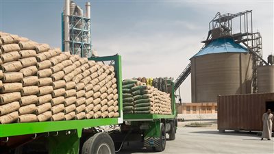 الحكومة تلزم مصانع الأسمنت بتصدير 30% فقط من الإنتاج للسيطرة على الأسعار