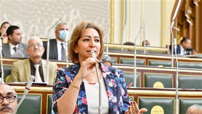 نائبة برلمانية تطالب الحكومة بإعلان نتائج تشريح 4 أطفال أشقاء توفوا بالمنيا