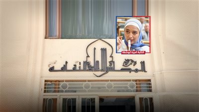 نائبة تنتقد تشكيل المجلس الأعلى للثقافة و«الوزارة» ترد: انتقادات فى غير محلها