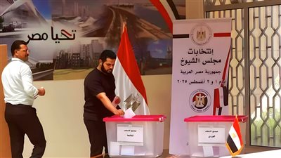 انتخابات مجلس الشيوخ.. الوطنية للانتخابات تكشف أخر التطورات بشأن تصويت المصريين بالخارج 