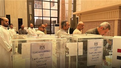 السعودية تتصدر التصويت في انتخابات مجلس الشيوخ للمصريين بالخارج
