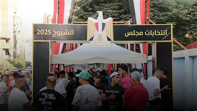 تقرير حقوقى يرصد مخالفات انتخابات الشيوخ ويطالب «الهيئة الوطنية» بوقف التجاوزات 