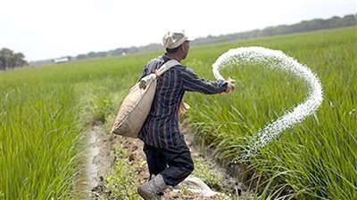 30 % تراجعا بأسعار الأسمدة مع تحسن إمدادات الغاز وعودة المصانع للعمل