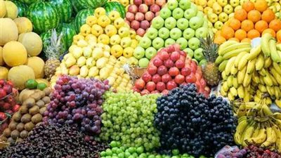 «الإحصاء» : تراجع صادرات الفواكه والأسمدة ونمو الملابس الجاهزة بنسبة 32.8%