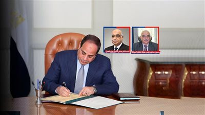 بالأسماء.. تعديل أقدمية مستشاري هيئة قضايا الدولة وتعيين 358 محاميا و200 مندوبا