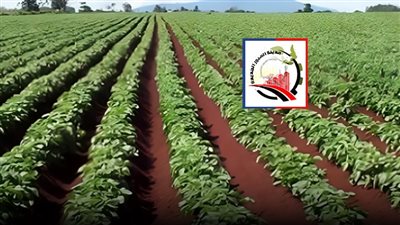 «حيتان العبور» يسعون لتحويل 12 ألف فدان من زراعي لسكني و«الجهاز» يتصدى