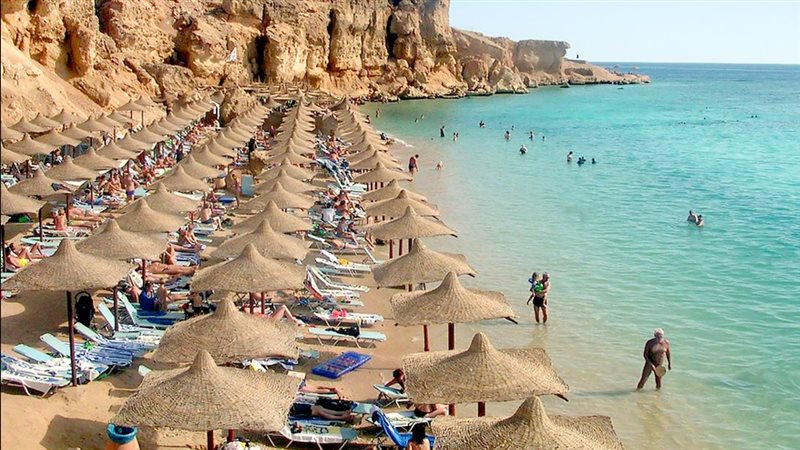 موقع الصفحة الأولى