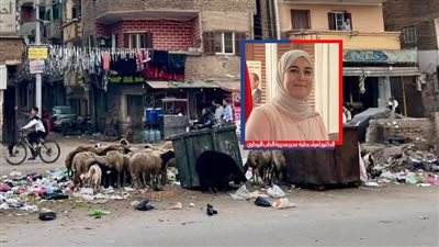 مسئولة الطب البيطري بالقليوبية تحذر من تناول لحوم الأغنام التي تأكل القمامة