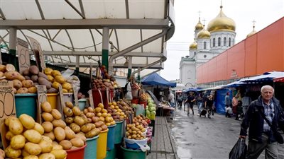 السر في البطاطس.. خطة حكومية لزيادة الصادرات الزراعية إلى روسيا بنسبة 15% 