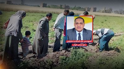 تساؤلات برلمانية حول خطة الحكومة لتحويل القرى المصرية لوحدات إنتاجية