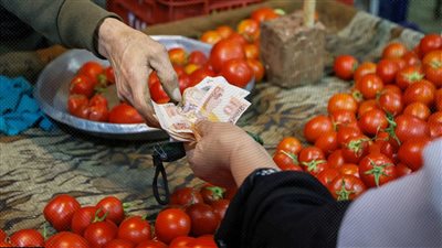 حقيقة وجود طماطم مسرطنة بالأسواق و4 علامات تؤكد حقن المحصول بالهرمونات