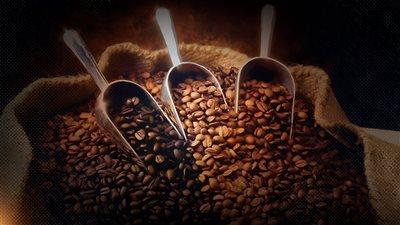 في اليوم العالمي لـ القهوة..استمرار غش البن وتضاعف أسعاره والشعبه توضح السبب  