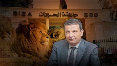 نفوق الأسود في حديقة الحيوان قبل افتتاحها.. والزراعة: القتل الرحيم كان الحل