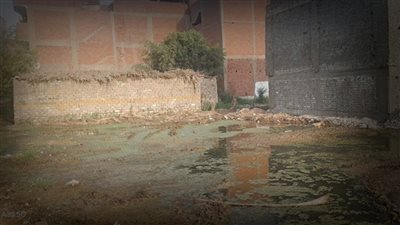 مأساة صحية وبيئية عند معهد الأورام بسبب مياه الصرف في بندر الفيوم