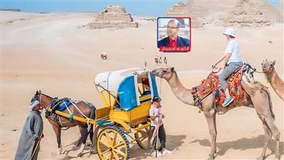 حكم قضائي يمنع انتشار الباعة والدواب في المواقع الأثرية وأحقية الإزالة لـ