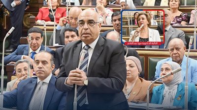 مها عبدالناصر لـ«الصفحة الأولى»: الحكومة تفرض تعديلات على «الإجراءات الجنائية» مخالفة لرسالة الرئيس 