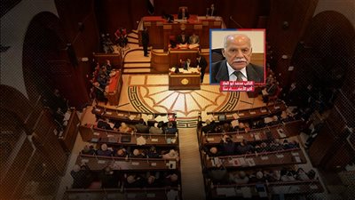 تشريح الاعمار .. 112 عضو بمجلس الشيوخ يتجاوزون الـ 60 ونائبان يتخطيان الـ80  