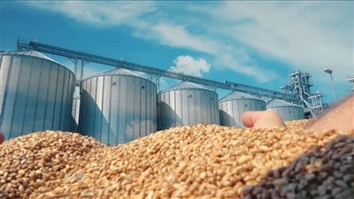 من الفراعنة إلى العصر الحديث  تطور صوامع القمح في مصر