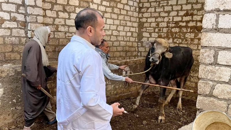 موقع الصفحة الأولى