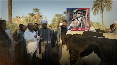 فيديو يظهر حالات نفوق جماعي لـ