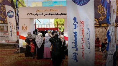 حسم مقعدين والباقي إعادة بعد الحصر العددي لانتخابات مجلس النواب في أسوان