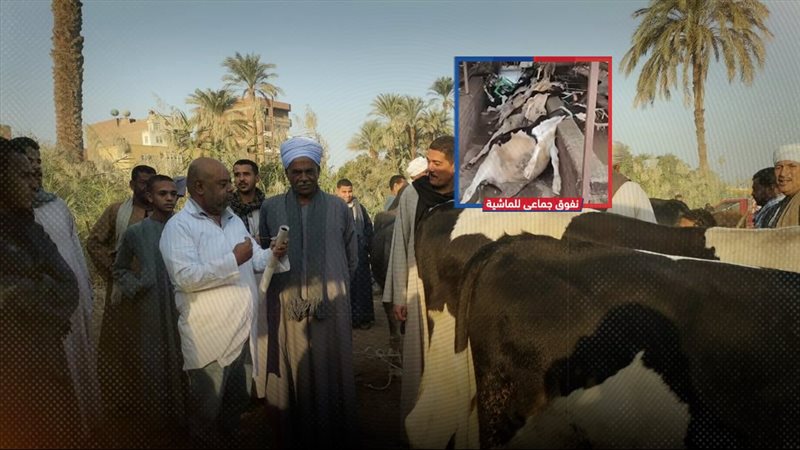 موقع الصفحة الأولى