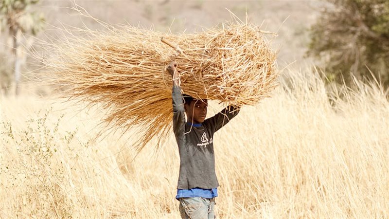 موقع الصفحة الأولى