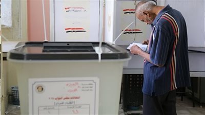 الطعون الانتخابية بين سوابق القضاء ومتغيرات السياسة.. ماذا سيحدث؟