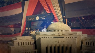 برلمان 2025 يكتب نهايته .. الإلغاء الكامل أو البطلان المطلق