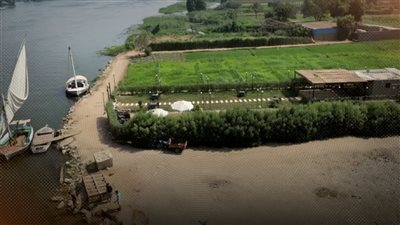 تراجع المساحات الخضراء بالقاهرة 32 كم ونصيب الفرد أقل من متر مربع