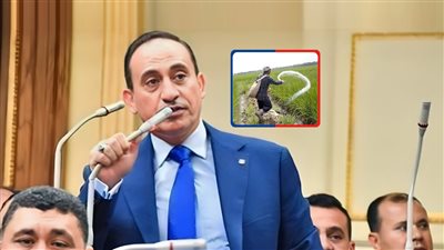 سؤال برلماني حول خطط الحكومة لحصار مافيا الأسمدة ودعم صغار الفلاحين 