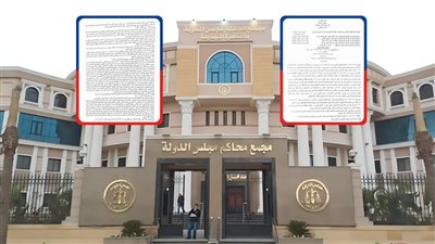 «قرينة النكول» وعدم تسليم محاضر الفرز أبرز حيثيات أحكام إلغاء الانتخابات بـ30 دائرة