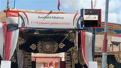 طعن أمام «الإدارية العليا» يطالب ببطلان انتخابات كفر الشيخ بسبب التزوير