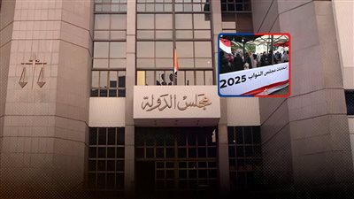 «الإدارية العليا» ترفض 3 طعون على نتيجة انتخابات مجلس النواب وتؤجل 257
