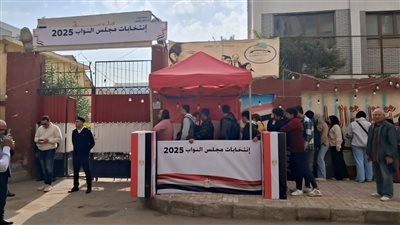 42 مستقلا يواجهون 28 مرشحا حزبيا فى الإعادة على مقاعد الـ19دائرة الملغاه