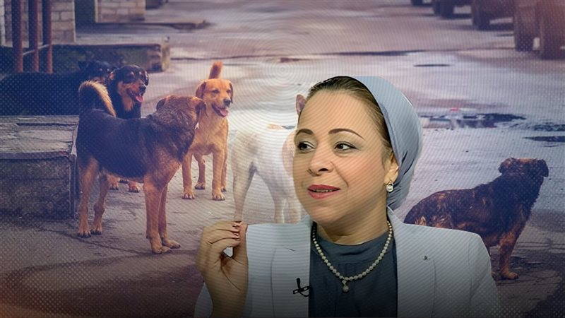 موقع الصفحة الأولى