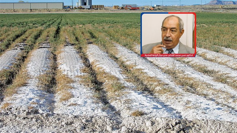 موقع الصفحة الأولى