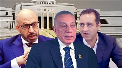 مرشحون فضحتهم الإعادة.. أصوات الناخبين تكشف مفارقات الجولات في انتخابات مجلس النواب   