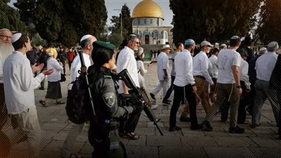 250 اقتحاماً في المسجد الاقصي تحت حماية قوات الاحتلال خلال 2025