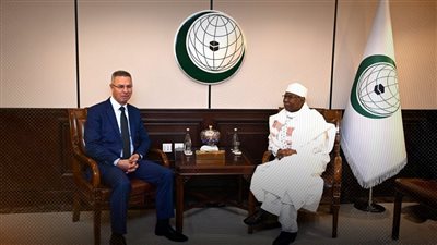 أمين «التعاون الإسلامي» يؤكد ضرورة تثبيت وقف إطلاق النار في غزة