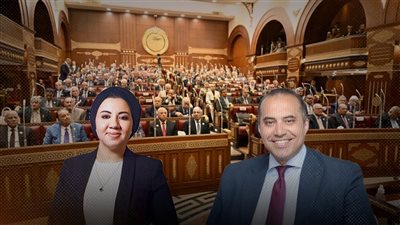 قانون الكهرباء يفجر الخلاف في مجلس الشيوخ.. نائبة: خلل في العدالة العقابية 