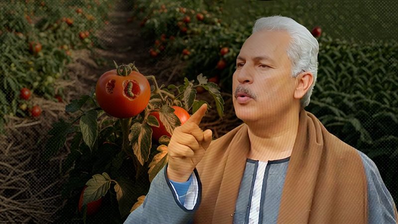 موقع الصفحة الأولى