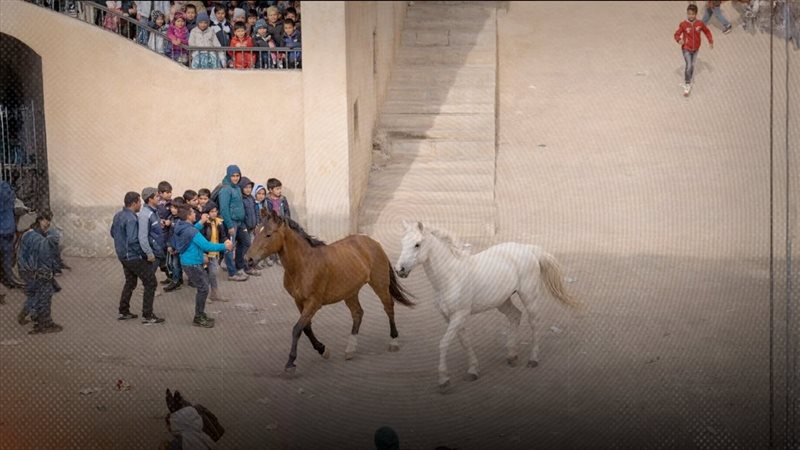 موقع الصفحة الأولى