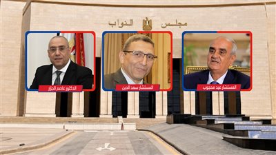 برلمان 2026.. المستشار عيد محجوب لرئاسة مجلس النواب و«سعد الدين والجزار» وكيلين