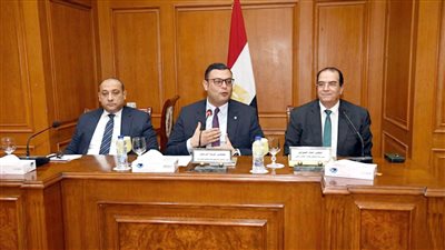 مجلس الشيوخ: اللائحة التنفيذية لقانون التصالح «معقدة» والتفريط في التراث جريمة تاريخية