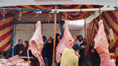تباين التوقعات فى بورصة اللحوم والمنافذ ترفع شعار «الكندوز للجميع» بـ300 جنيه