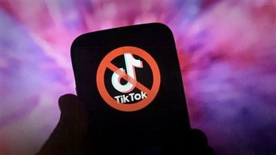 الحشد الناعم الخبيث و التيك توكرز  وتجربة 