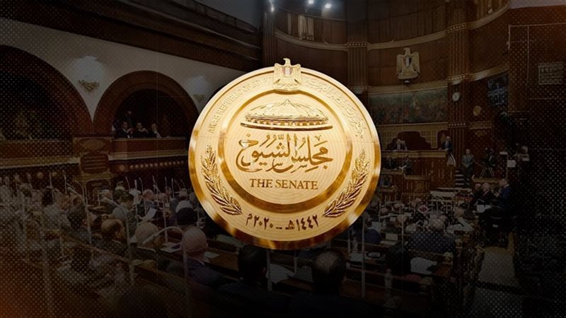 موقع الصفحة الأولى