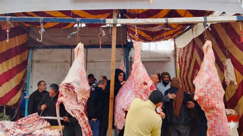 موقع الصفحة الأولى