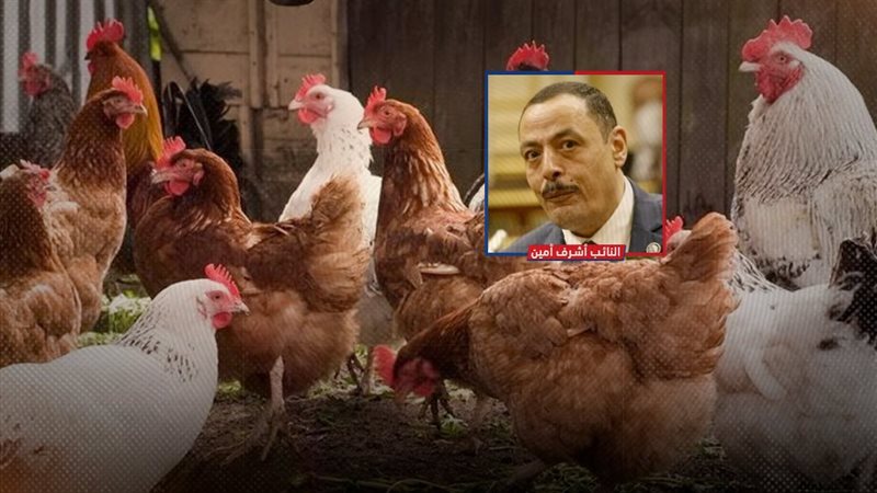 موقع الصفحة الأولى